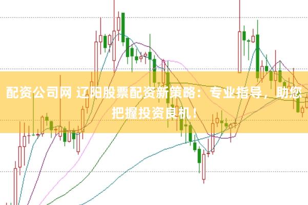 配资公司网 辽阳股票配资新策略：专业指导，助您把握投资良机！
