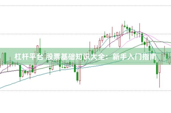 杠杆平台 股票基础知识大全：新手入门指南