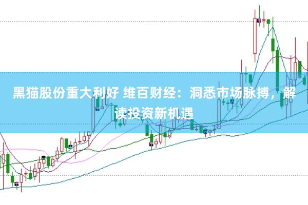 黑猫股份重大利好 维百财经：洞悉市场脉搏，解读投资新机遇