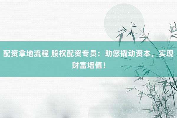 配资拿地流程 股权配资专员：助您撬动资本，实现财富增值！