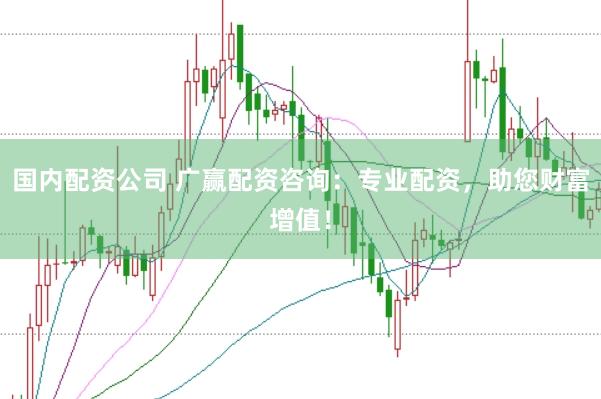 国内配资公司 广赢配资咨询：专业配资，助您财富增值！