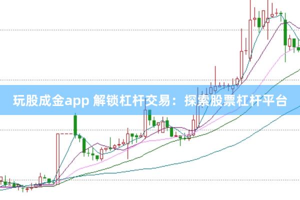 玩股成金app 解锁杠杆交易：探索股票杠杆平台
