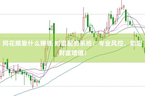 同花顺靠什么赚钱 知富配资系统：专业风控，助您财富增值！