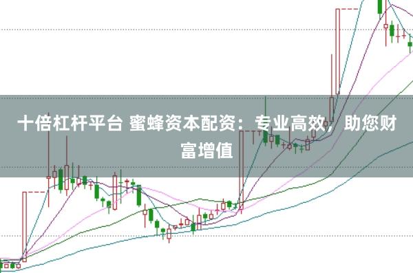 十倍杠杆平台 蜜蜂资本配资：专业高效，助您财富增值