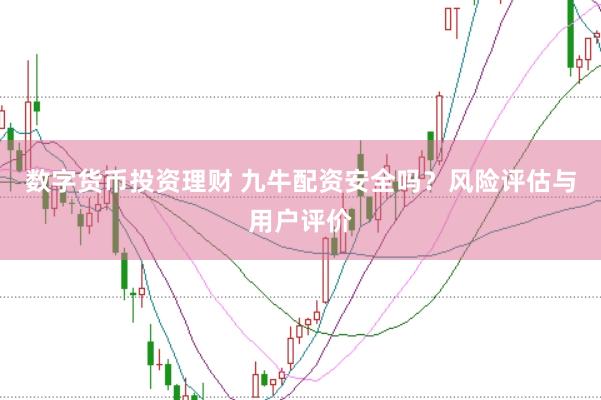 数字货币投资理财 九牛配资安全吗？风险评估与用户评价