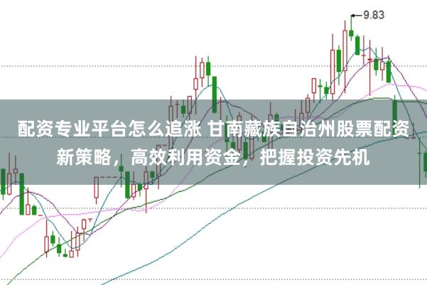 配资专业平台怎么追涨 甘南藏族自治州股票配资新策略，高效利用资金，把握投资先机