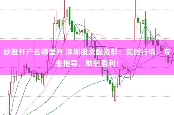 炒股开户去哪里开 深圳股票配资群:实时行情,专业指导,助您盈利!