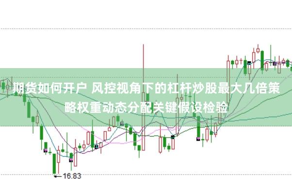 期货如何开户 风控视角下的杠杆炒股最大几倍策略权重动态分配关键假设检验