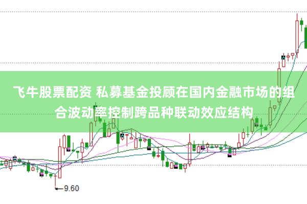 飞牛股票配资 私募基金投顾在国内金融市场的组合波动率控制跨品种联动效应结构