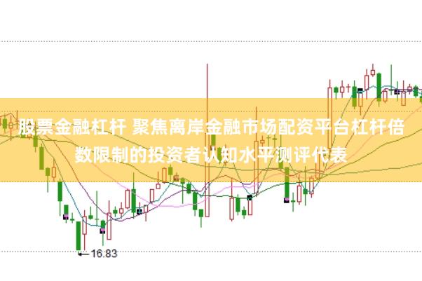 股票金融杠杆 聚焦离岸金融市场配资平台杠杆倍数限制的投资者认知水平测评代表
