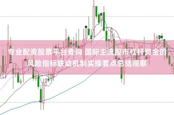 专业配资股票平台查询 国际主流股市杠杆资金的风险指标联动机制实操要点总结观察