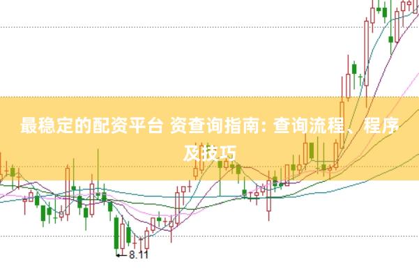 最稳定的配资平台 资查询指南: 查询流程、程序及技巧