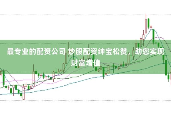 最专业的配资公司 炒股配资绅宝松赞，助您实现财富增值
