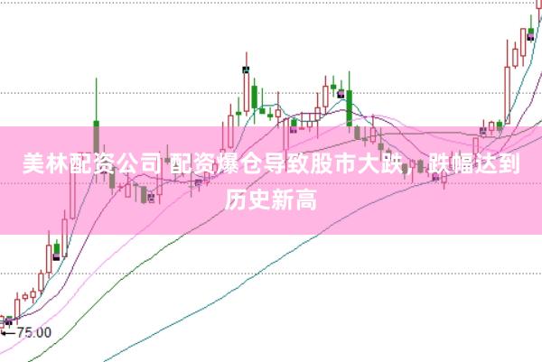 美林配资公司 配资爆仓导致股市大跌，跌幅达到历史新高
