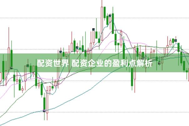 配资世界 配资企业的盈利点解析